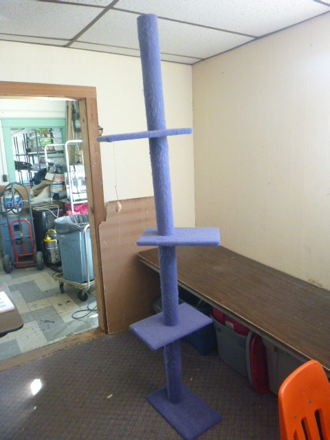 lot 41 image: Cat Scratching Post