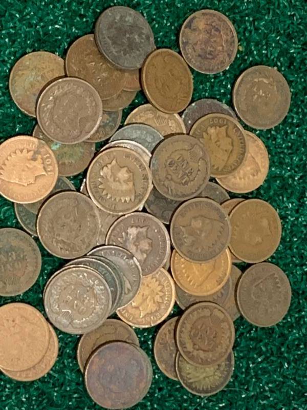 Lot of 50 Indian Head Pennies