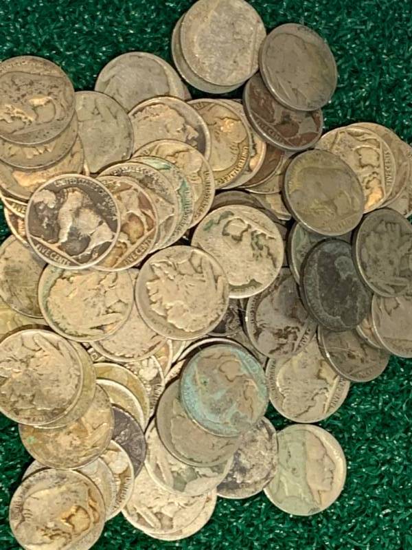 Lot of 80 Buffalo Nickles