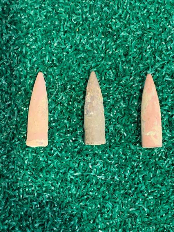 World War I Bullets Found on a European Dig