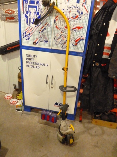 SnS Auctions # 364 Spring has Sprung