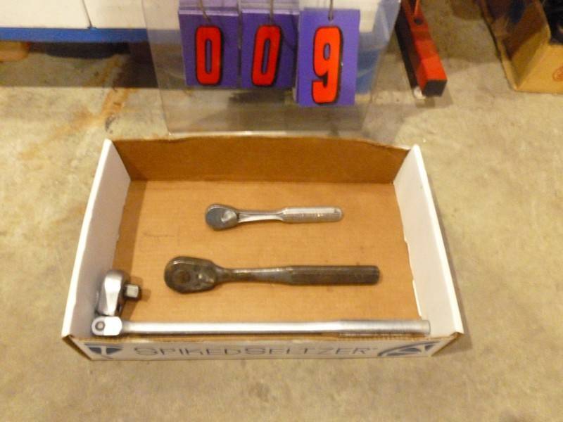 SnS Auctions # 364 Spring has Sprung
