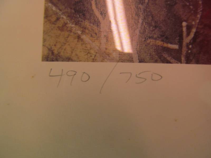 lot 91 image: Wildlife print