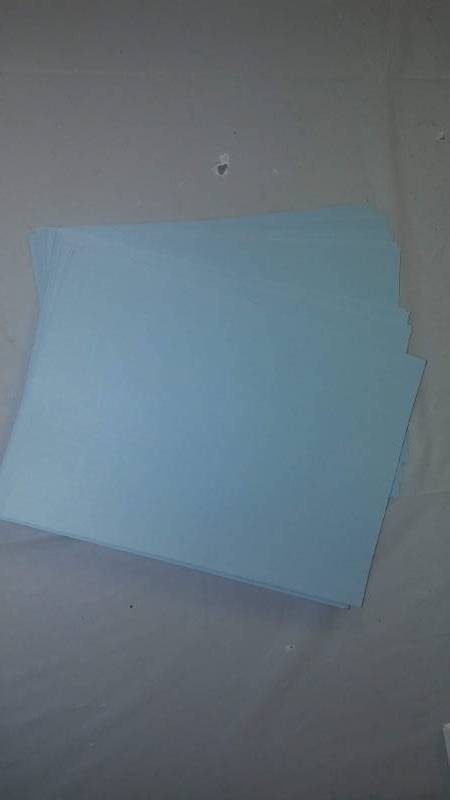 lot 31 image: Case of Blue Office Printing Paper