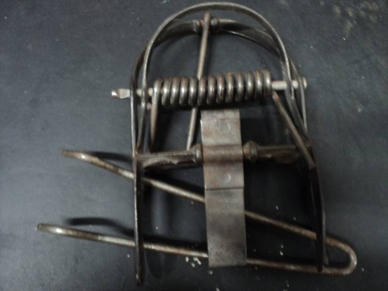lot 75 image: Preditor Trap...