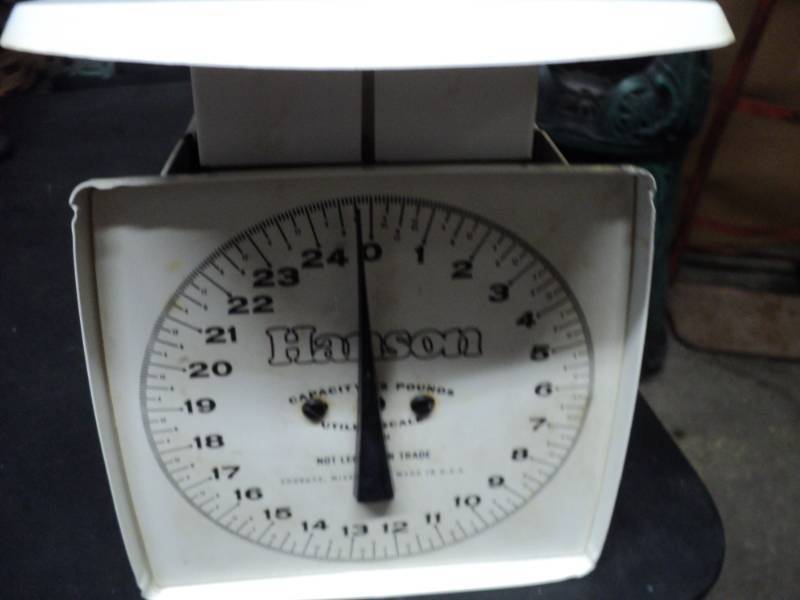 lot 89 image: Hanson Scale...