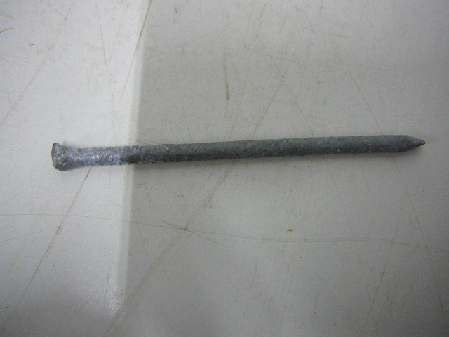 Nails Galvanized Casing 3