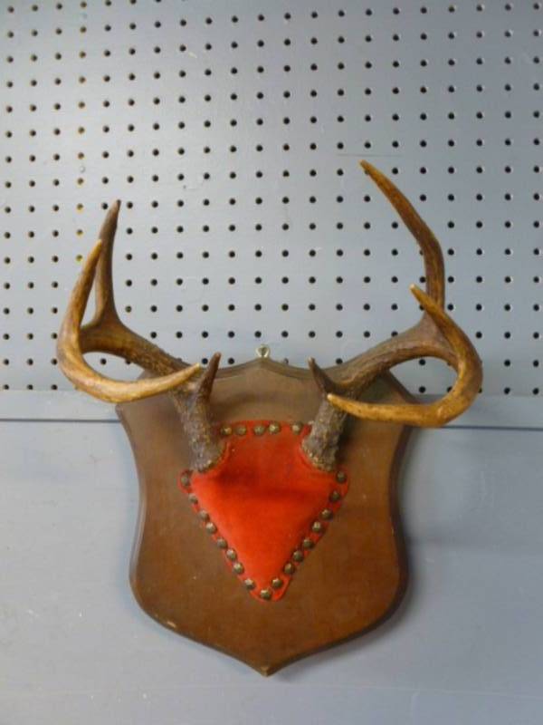 lot 140 image: Deer Rack