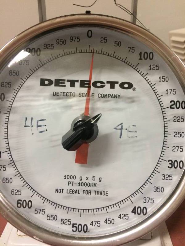 lot 52 image: Detecto PT-1000RK Scale