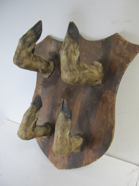 lot 12 image: Vintage Deer Leg Hat Rack