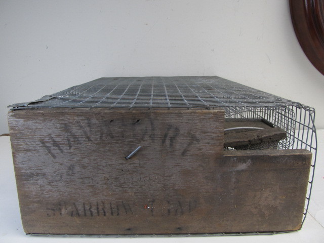 lot 100 image: Antique Primitive Sparrow Trap