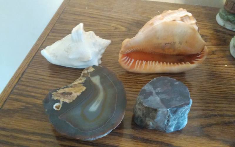 Sea Shells & Assorted Agates