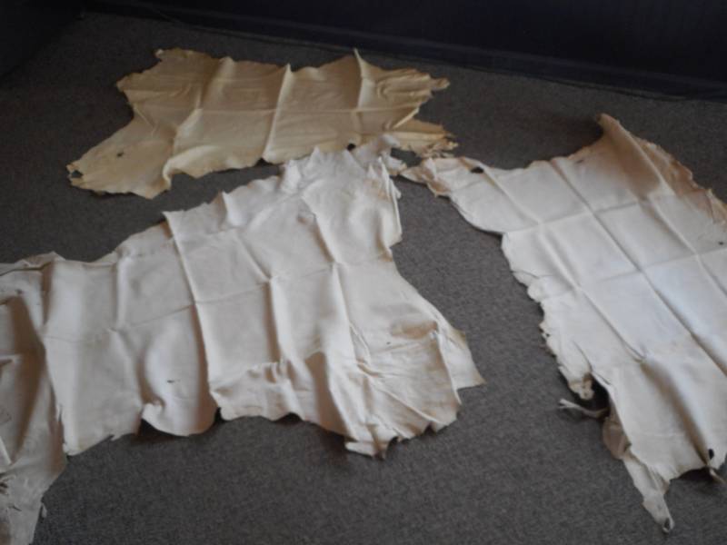 lot 8 image: Deer Skins