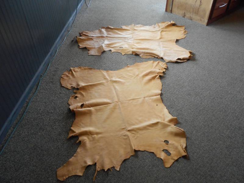lot 7 image: Deer Skins