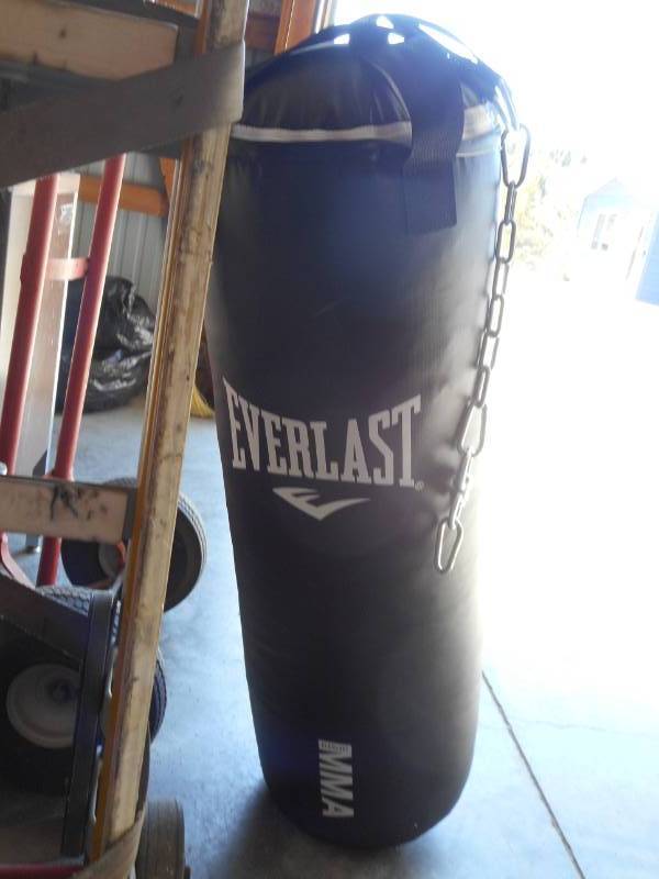 lot 9 image: Everlast Punching Bag