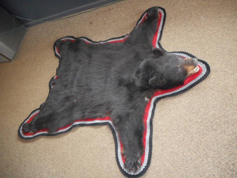 lot 6 image: Bear Skin Rug