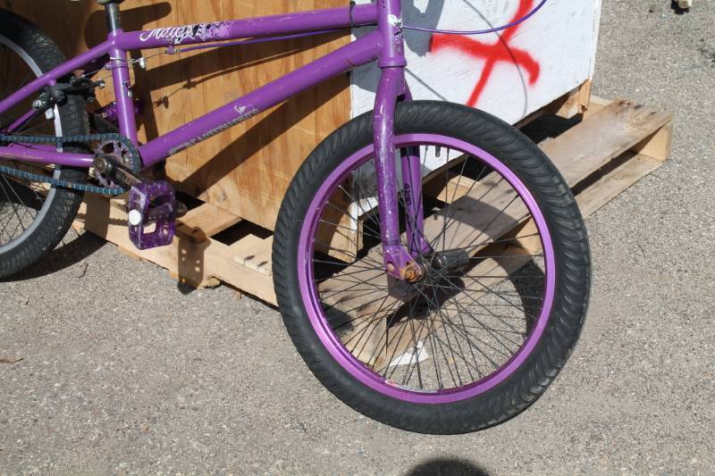 Bicycle Youth Size