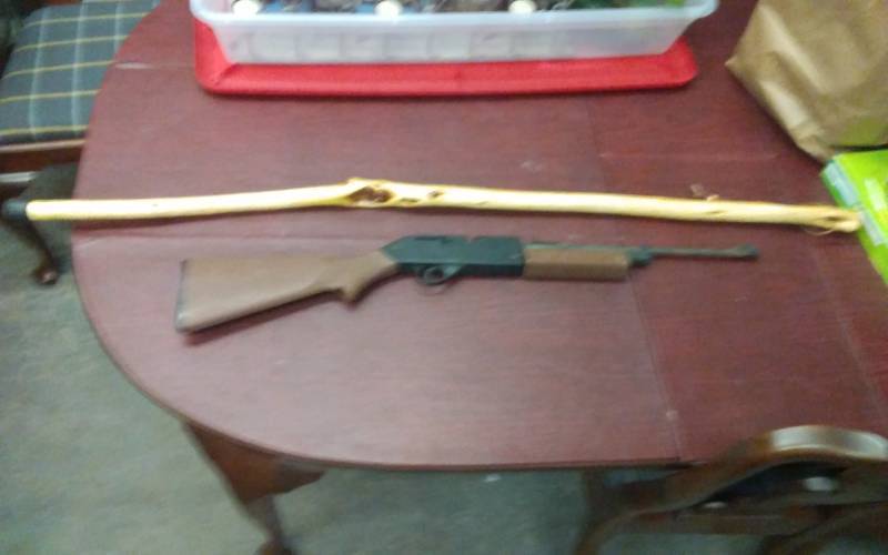 lot 39 image: Pump Master 760 Pellet Gun & Hand Carved Walking Stick