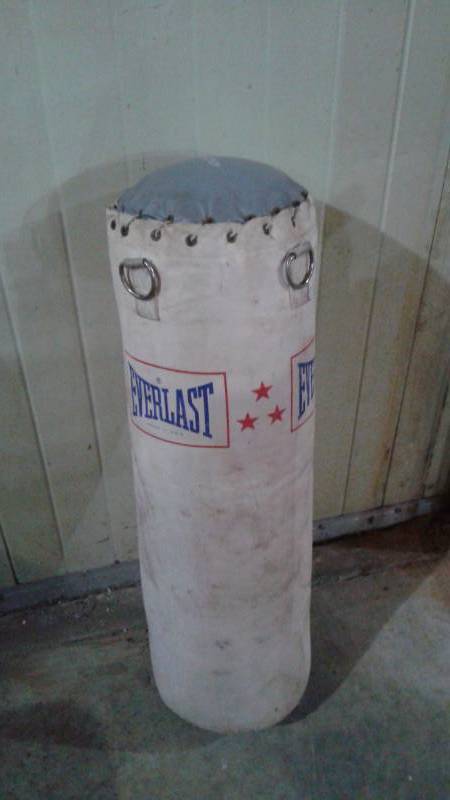 lot 20 image: Everlast Punching Bag, Used, Some Wear