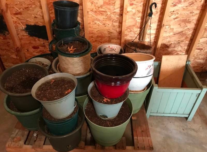 lot 66 image: Planters