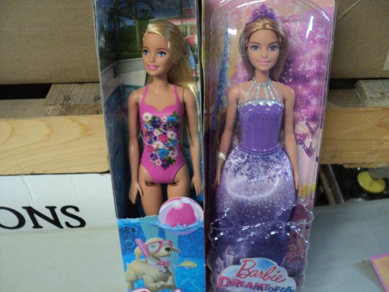 lot 13 image: Dreamtopia BARBIE and BARBIE...