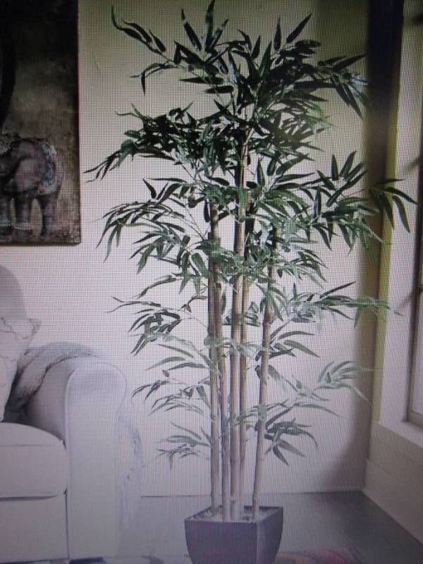 lot 9 image: Bamboo Tree open box Retail $79.99 ...