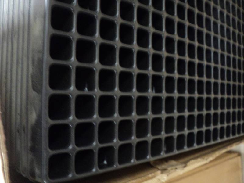 lot 147 image: Box of 50 Seed Starting Trays...