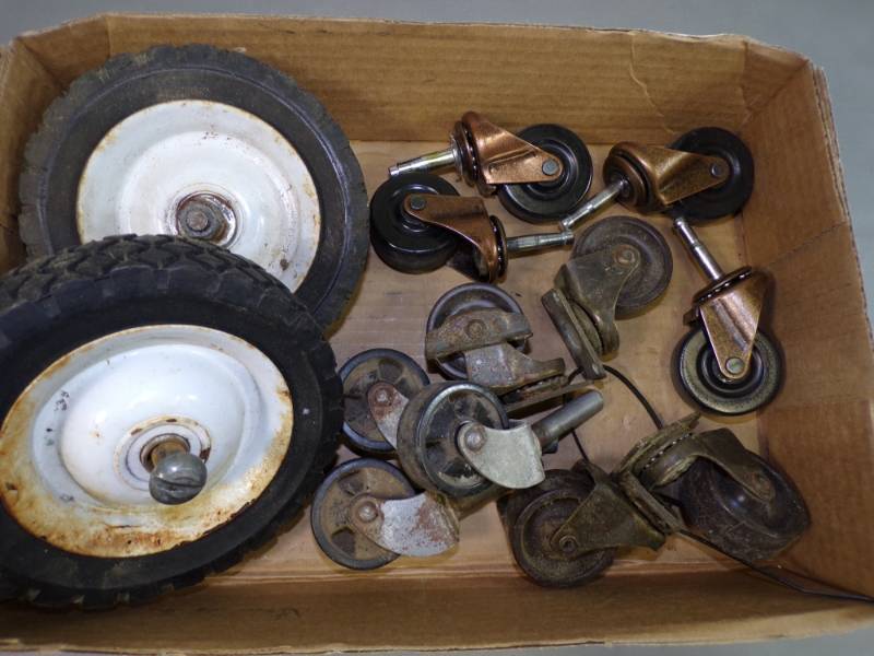 lot 59 image: Flat of Castors