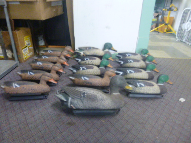 lot 71 image: 14 Duck Decoys