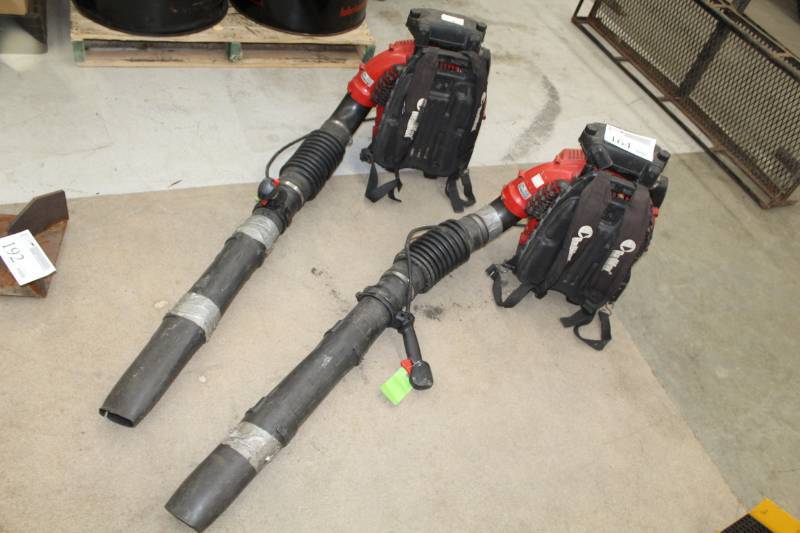lot 164 image: 2015 RedMax Gasoline Powered Backpack Blowers
