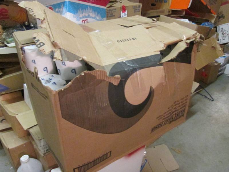 lot 209 image: Broken Open Case of 96 Rolls of Toi...
