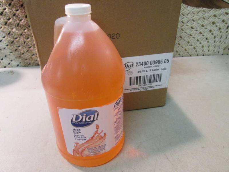 lot 218 image: Case of 4 1 Gallon Bottles of Dial ...