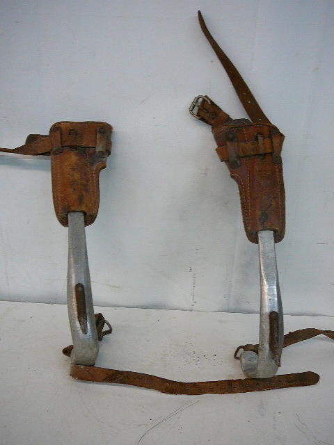 lot 23 image: Climbing Spikes, PoleTree