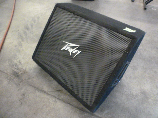 lot 11 image: Peavey 115Ti Floor Monitor Speaker