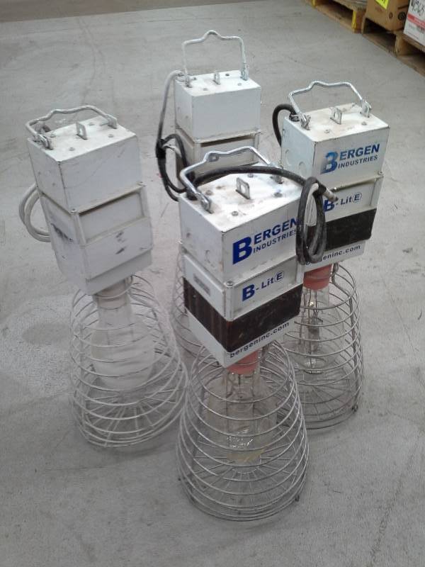 lot 739 image: Bergen Industries B-LitE Metal Halide Lights