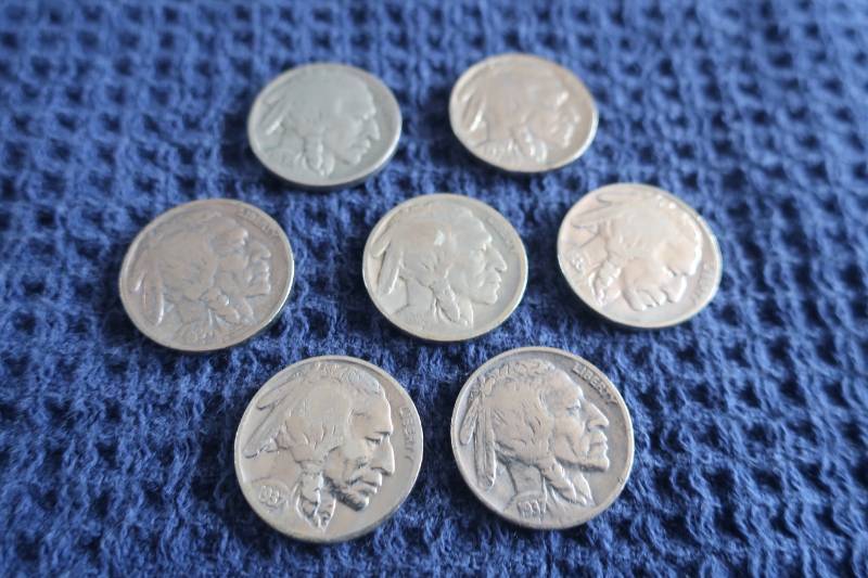 7 Buffalo Nickels