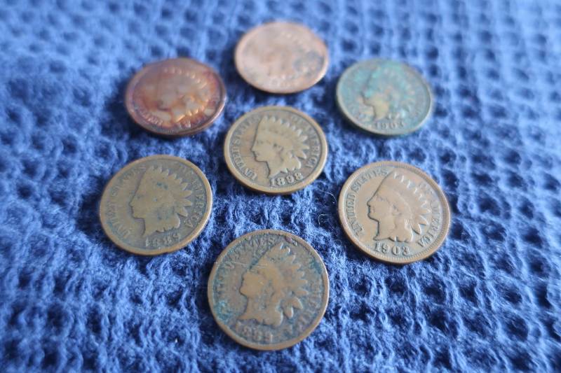 7 Indian Head Pennies