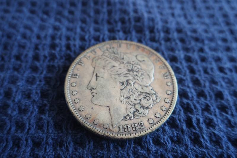 1882 Morgan Dollar