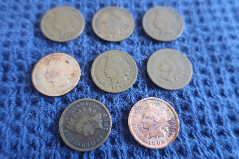 8 Indian Head Pennies