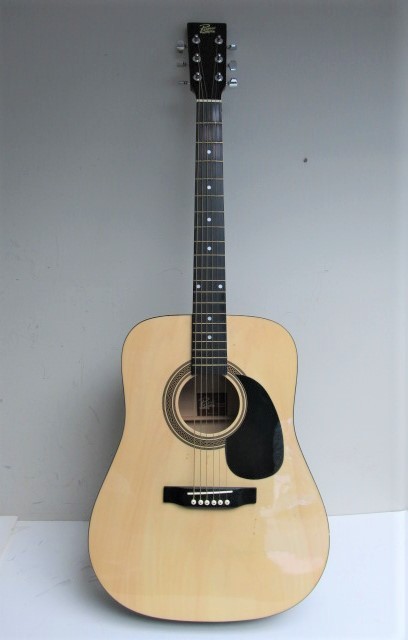lot 37 image: ROGUE Acoustic Guitar