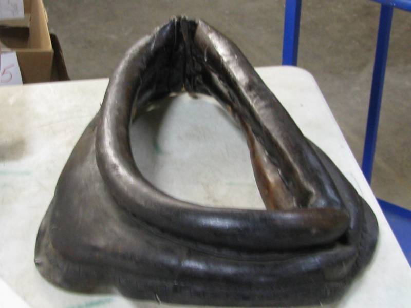 Horse Collar
