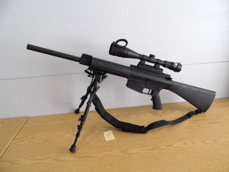 DPMS Panther Arms 308