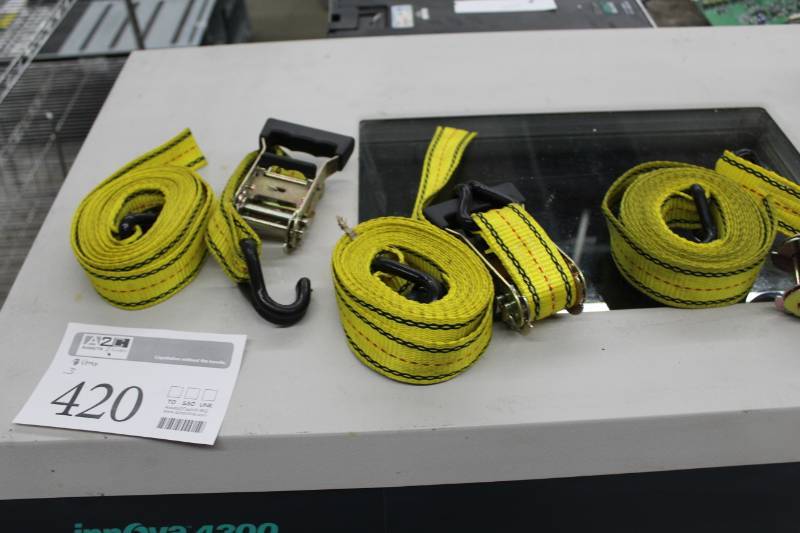 lot 420 image: Nylon Strap Tie-downs