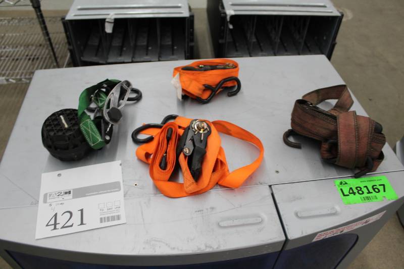 lot 421 image: Nylon Strap Tie-downs