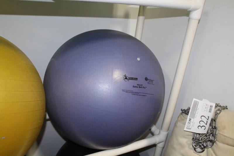 lot 324 image: TheraGear Swiss Ball Pro 2200-lb. Exercise Ball
