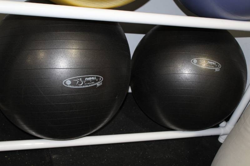 lot 326 image: 500-lb. Exercise Balls