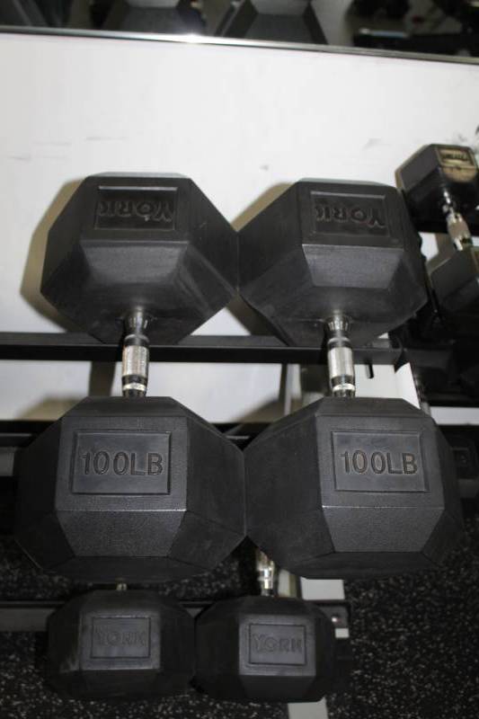 lot 336 image: York 100-lb. Dumbbells