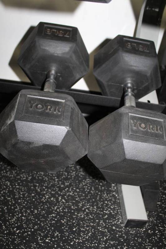 lot 339 image: York 75-lb. Dumbbells