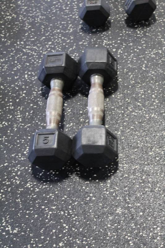 lot 349 image: Hampton 5-lb. Dumbbells