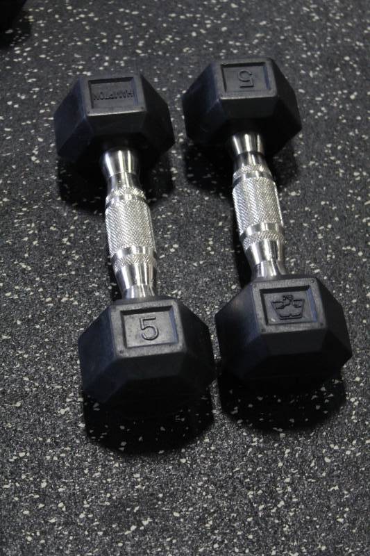 lot 350 image: Hampton 5-lb. Dumbbells